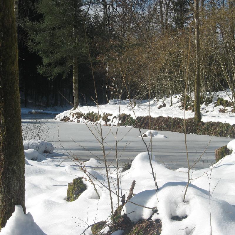 Hiver