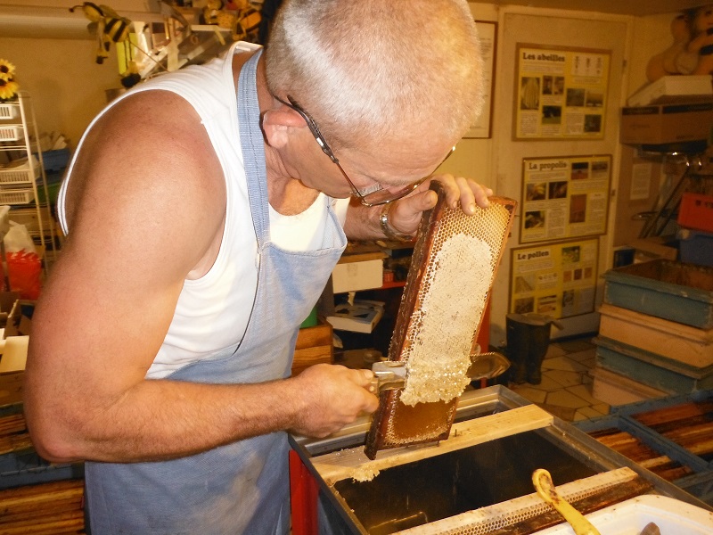 D?couverte du monde de l'apiculture